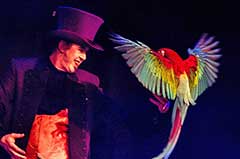 Magic show with parrot