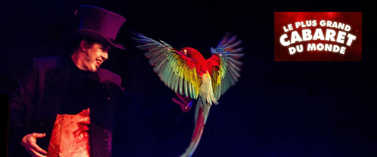 Magician with parrot in Belgium