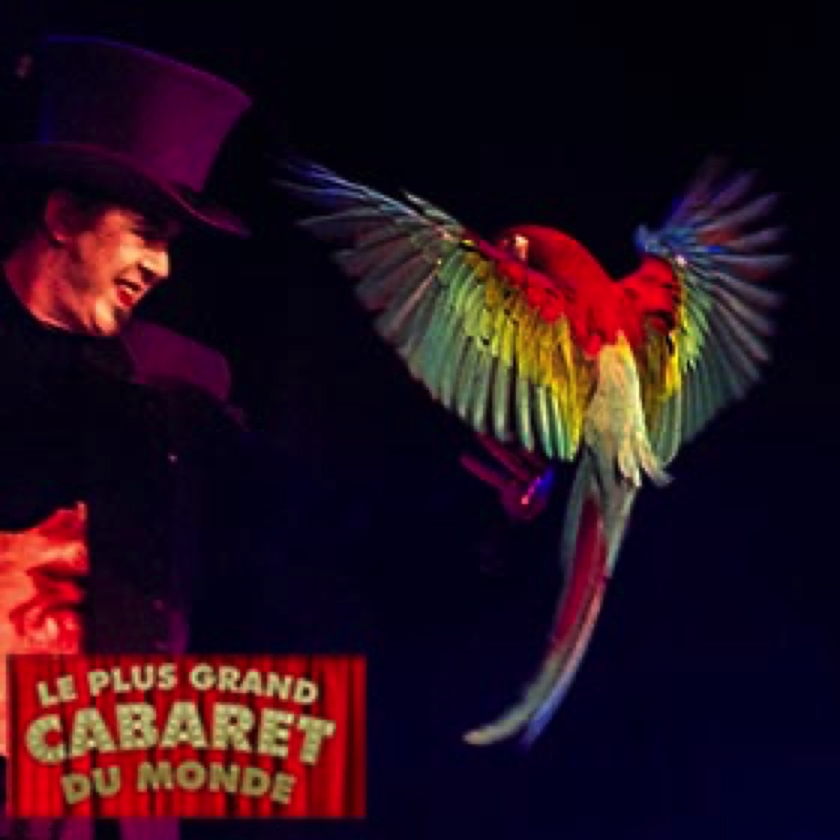 magician with macaw parrot