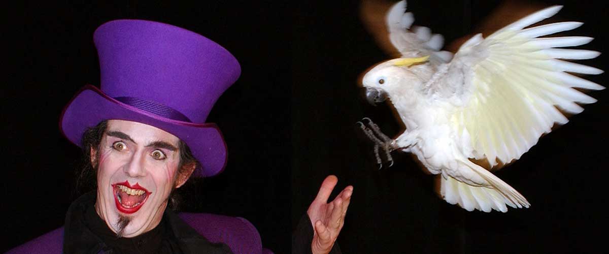 Magic show with parot