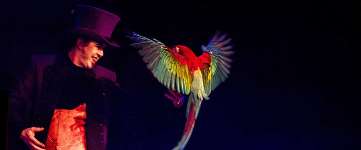 magician parrot show